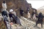 طالبان در بیشتر مناطق پشتون‌نشین ولایت میدان‌وردک نفوذ دارد