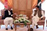پاکستان در وضعیتی نیست که برای صلح افغانستان کاری انجام دهد