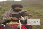ولسوال نام‎نهاد طالبان با 45 تن دیگر در ولسوالی دای‌چوپان زابل کشته شد