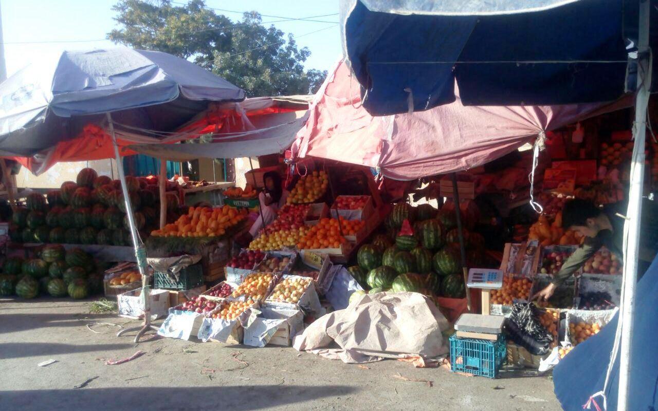 افزایش حاصلات میوه و شکایت میوه‌فروشان از کاهش بی‌پیشینه قیمت و بازار فروش در بلخ