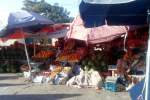افزایش حاصلات میوه و شکایت میوه‌فروشان از کاهش بی‌پیشینه قیمت و بازار فروش در بلخ