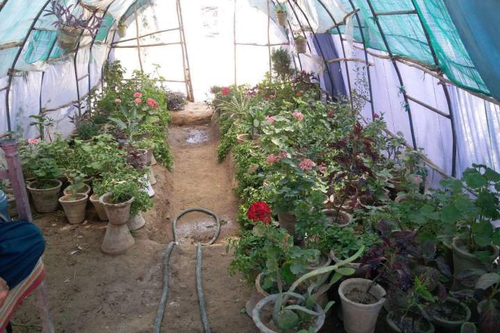 خشونت‌ها و فقر و بیکاری باعث کاهش خرید گل و گیاه در افغانستان شده است