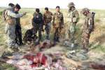 8 militants killed in western Afghanistan