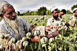 Iran: US Causing Problems in Region, Afghanistan’s Opium Production Increased after US Invasion