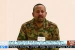 Army Chief and Regional Leader Killed in Ethiopia: AFP