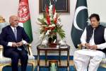 روند صلح افغانستان وابستگی مستقیمی با منافع پاکستان دارد