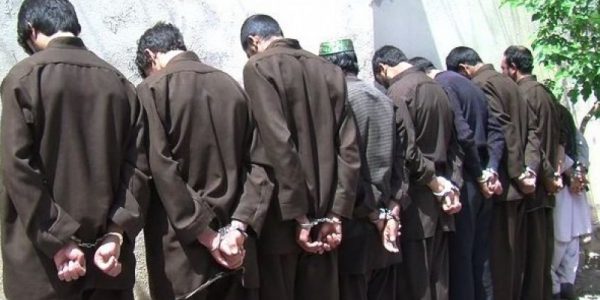 بیش از ۲۰۰ نفر به اتهام جرایم مختلف در هرات بازداشت شده‌اند