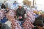 Helmand Pomegranate exports to reach over 24,000 tons