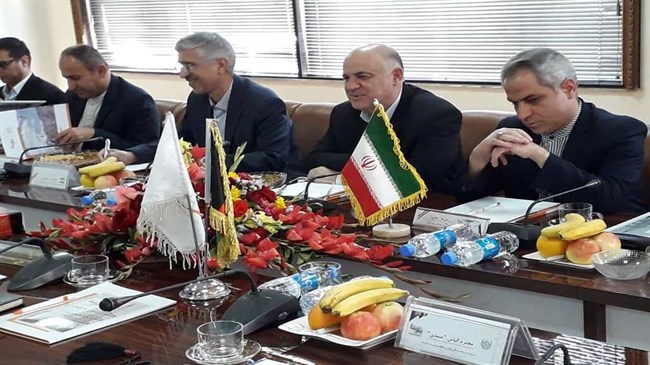 Iran, Afghanistan agree on constructing electricity transmission line