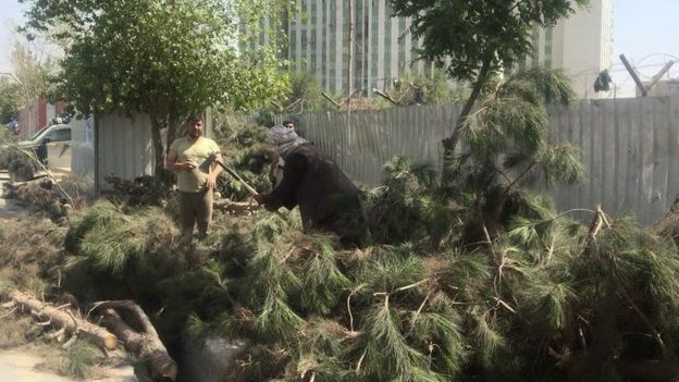 شرکت امنیتی که درختان در کابل را قطع کرده بود، جریمه شد