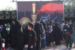 تصاویر / مراسم عاشورای حسینی (ع) در نواحی نهم و دوازدهم شهر هرات  