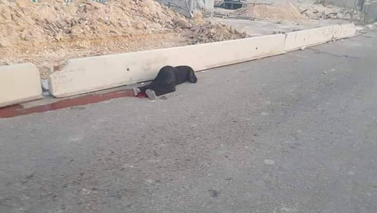 Palestinian Women Bleeds to Death after Being Shot by IOF