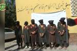 بازداشت یک گروه شش نفری به شمول دو فرمانده طالبان در لغمان