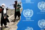 طالبان درخواست سازمان ملل را نپذیرفتند