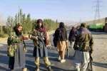 طالبان چند باشنده ولسوالی جاغوری را از دشت قره باغ ربودند
