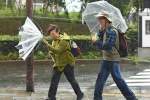 په جاپان کې د هاګیبیس طوفان ۲۰ کسان مړه کړل