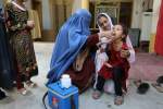 Afghanistan launches polio vaccination targeting 8.5 mln children