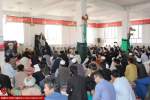 تصاویر/ مراسم گرامیداشت مقام شهید "تاتاری" در هرات  