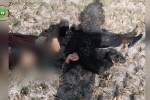 مسئول کمیسیون نظامی طالبان در تخار کشته شد