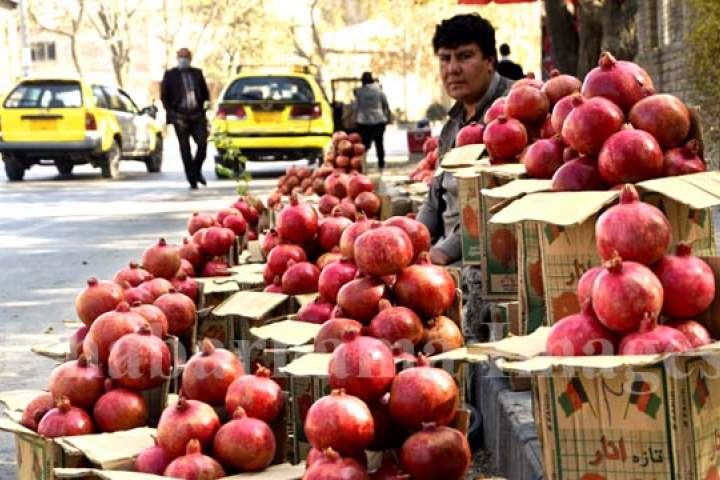 افزايش حاصلات سيب، انگور و انار در سایه نبود بازار فروش و سردخانه در کشور