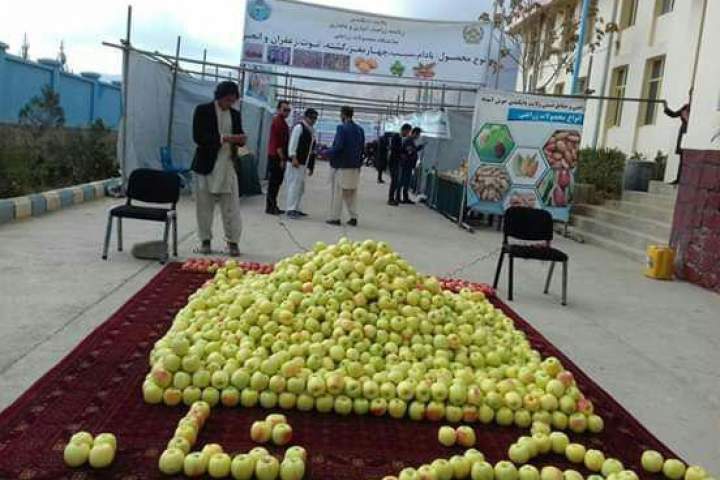جشن سیب دختر شاه و نمایشگاه محصولات زراعتی در دایکندی برگزارشد