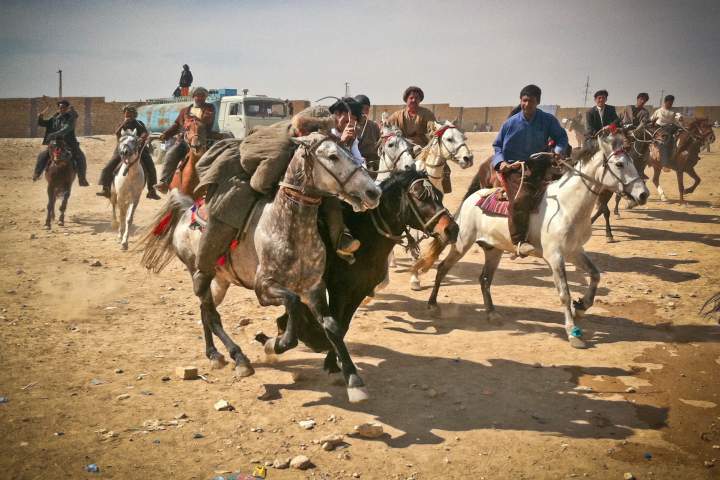 مسابقات بزکشی در چمن حضوری برگزار می شود