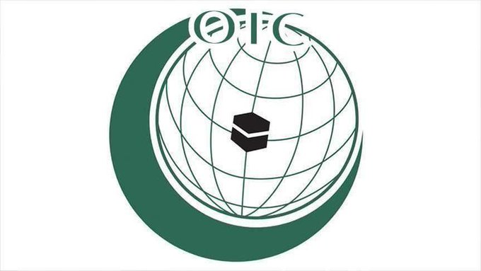 OIC mandate needs to be reviewed: Expert