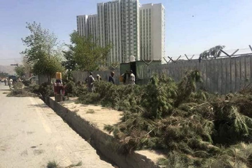 Security firm pays Kabul Municipality 5.76m in fines for cutting 24 trees along Airport Road