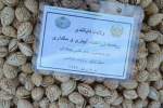 بادام افغانستان به بازارهای جهانی صادر می شود