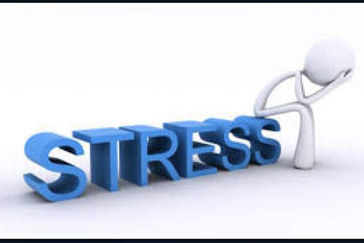 استرس در اوایل زندگی موجب افزایش طول عمر می شود
