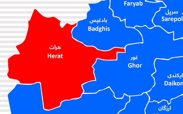ECC employee shot dead in Herat