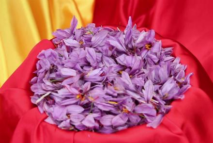 Afghan Saffron Ranked Best in the World for Eighth Year