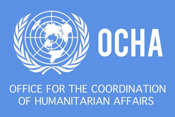 733-mln-USD humanitarian assistance needed to help Afghans in 2020