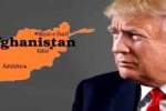 دونالد ترامپ به صلح افغانستان نگاهی ابزاری دارد