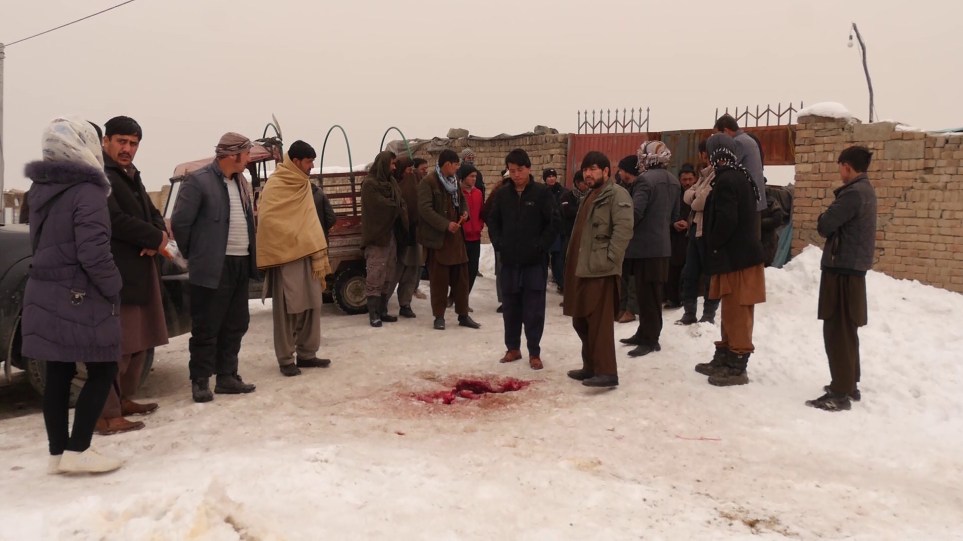 نگهبان  یکی از پرورشگاه‌های مرغ در کابل به قتل رسید