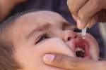 آغاز کمپاین سراسری واکسین پولیو در 31 ولایت؛ بیشتر از دو میلیون کودک از واکسین محروم اند!