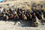28 insurgents give up fighting in Afghanistan