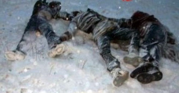 سفارت افغانستان در انقره در تثبت هویت اجساد یخ زده در مرز ترکیه همکاری نماید