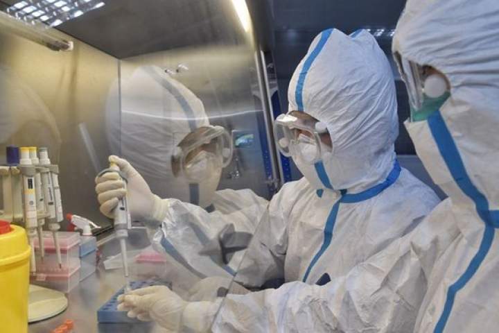 وزیر صحت: نتیجۀ بررسی 9 مورد مشکوک ویروس کرونا در هرات منفی بوده است