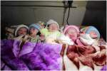 یک خانم در ولایت ننگرهار پنج کودک به دنیا آورد