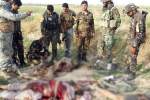 22 Taliban militants killed in W. Afghan airstrikes