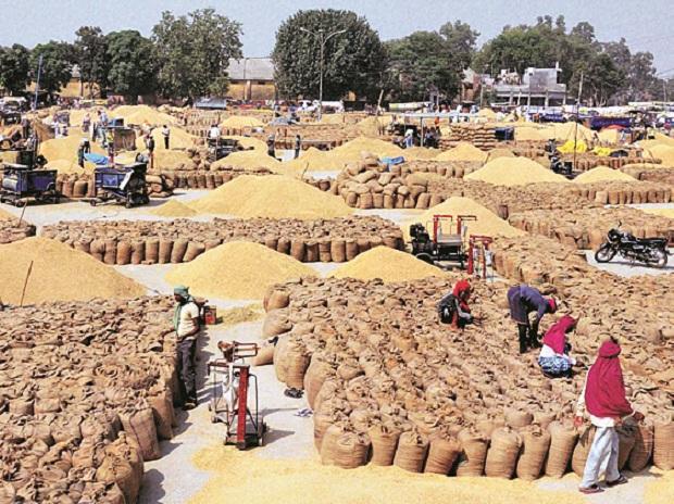 India to export 90,000 tonnes of surplus wheat to Afghanistan, Lebanon