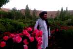 والی نام‌نهاد طالبان برای میدان‌وردک کشته شد