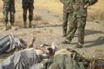 هشت عضو طالبان در گرشک هلمند کشته و زخمی شدند