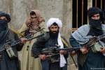 نماینده بلخ: طالبان باید در شرایط فعلی حملات‌شان را کاهش دهند