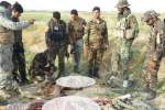 نیروهای دولتی 16 عضو طالبان را در فراه و بادغیس کشتند