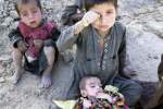 یونیسف:  ۷۰۰ هزار کودک افغان از سوء تغذیه رنج می برند و به کمک فوری نیاز دارند