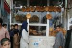 قرار است روزانه 600 هزار قرص نان به نیازمندان در هرات توزیع شود