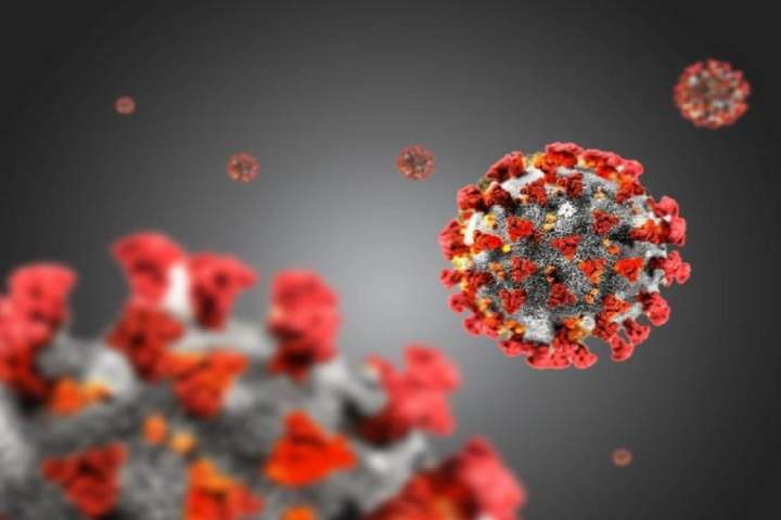 محققان هالندی پادتن ضد ویروس کرونا تولید کردند