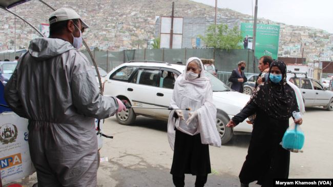 افغانستان کې په کرونا ویروس اخته کسانو شمېر۴۶۸۷ تنو ته ورسېد